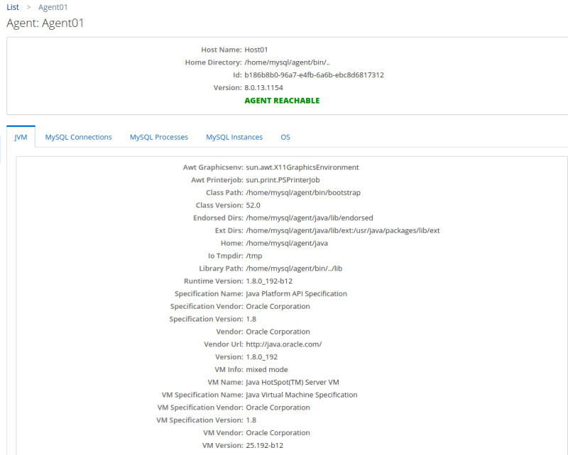 Example of the Agent details view.